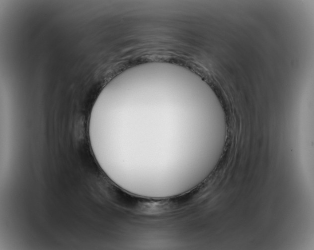 X0000087360323200704200831