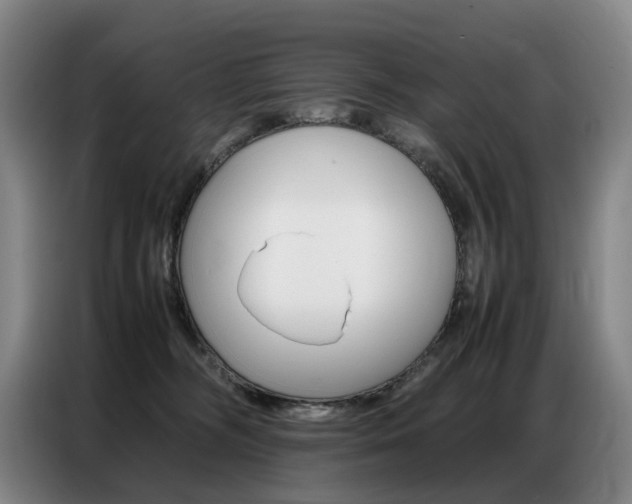 X0000087360326200704200831
