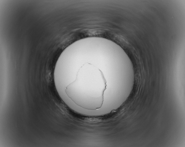 X0000087360327200704200831
