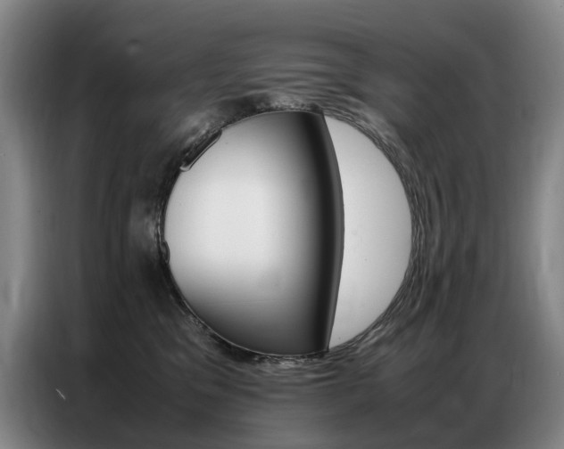 X0000087360329200704200831