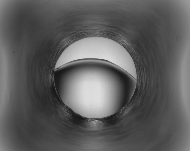 X0000087360333200704200831