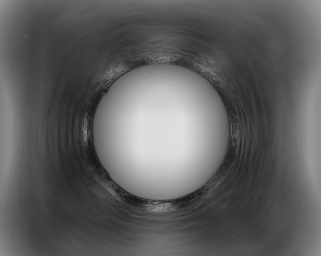 X0000087360334200704200831