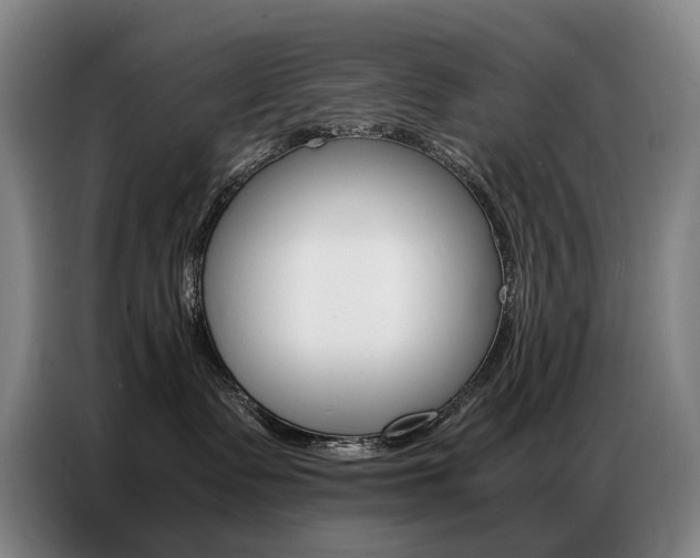 X0000087360335200704200831