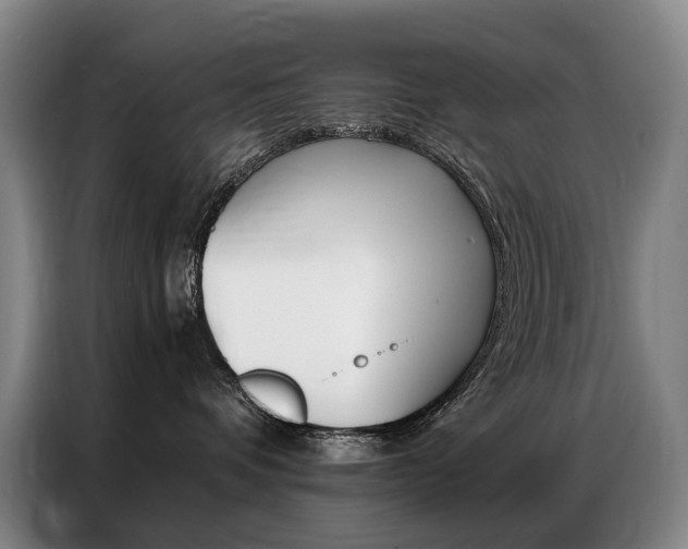 X0000087360336200704200831
