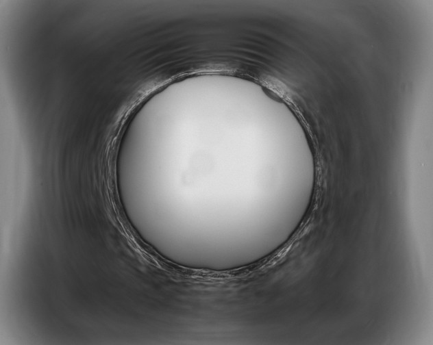 X0000087360337200704200830