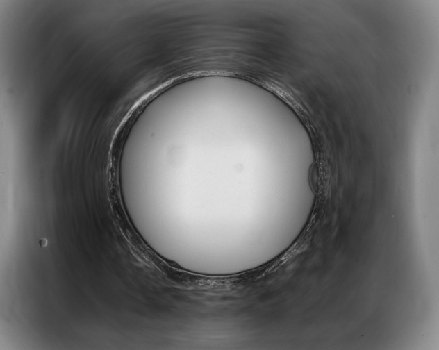 X0000087360338200704200830