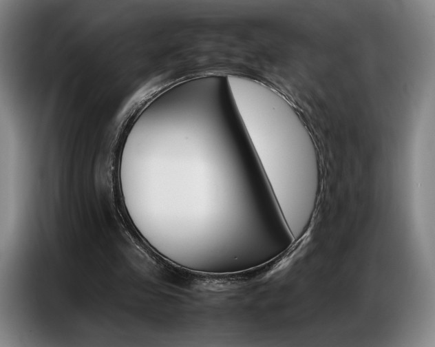 X0000087360341200704200830