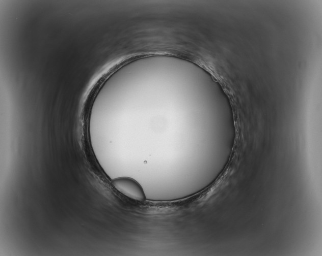 X0000087360342200704200830