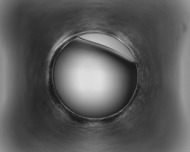 X0000087360344200704200830