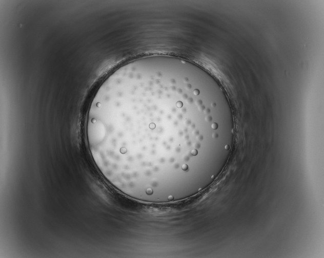 X0000087360346200704200830