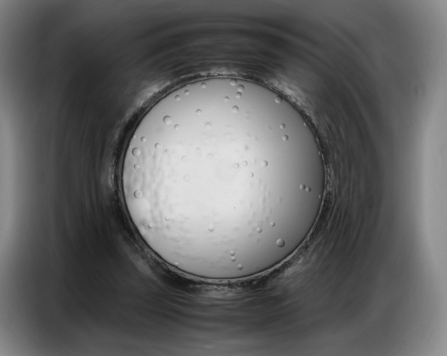 X0000087360347200704200830