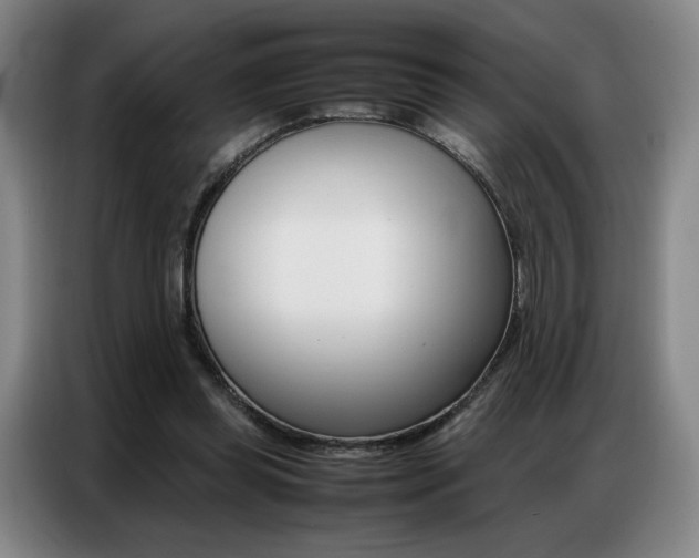 X0000087360349200704200830