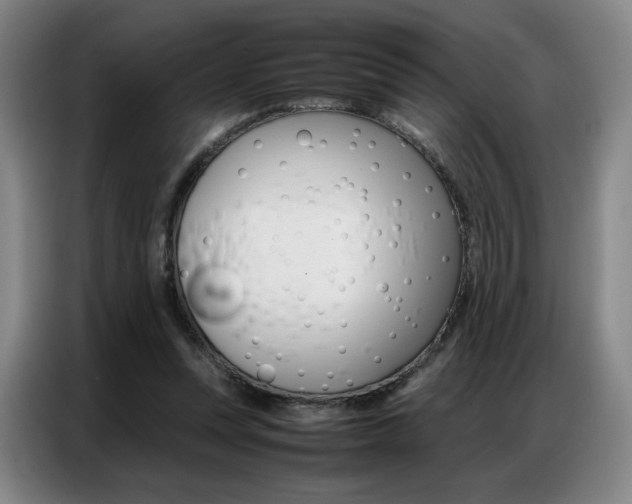 X0000087360351200704200830