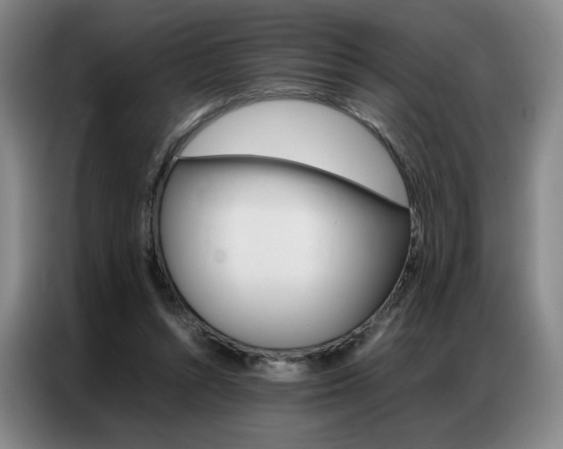X0000087360352200704200830