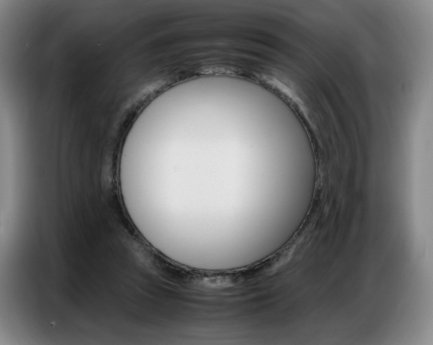 X0000087360353200704200830