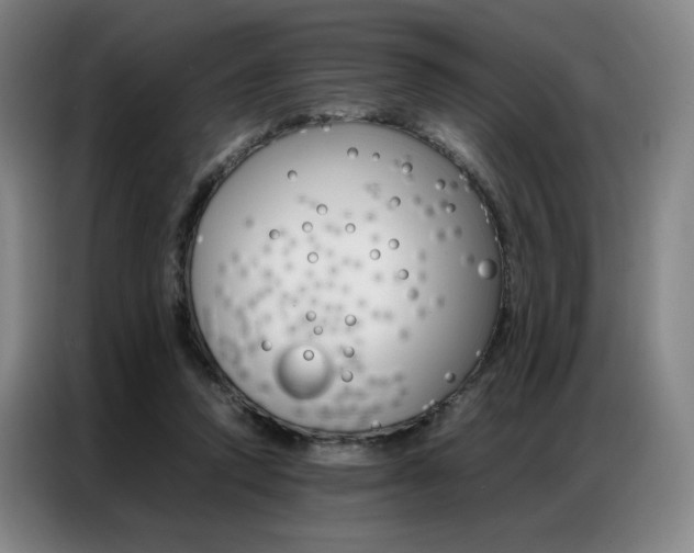 X0000087360354200704200830