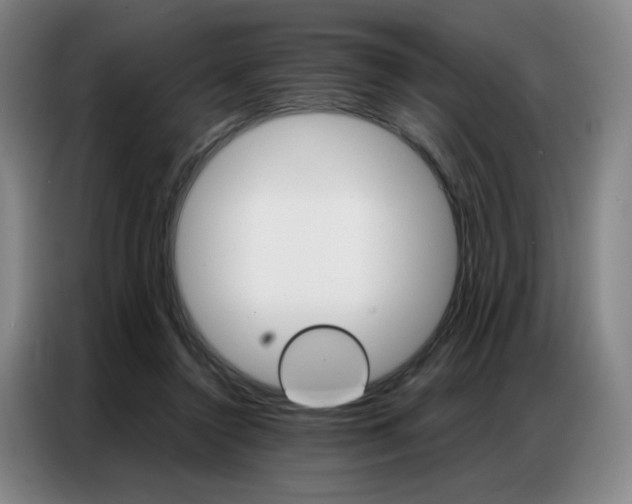 X0000087360356200704200830