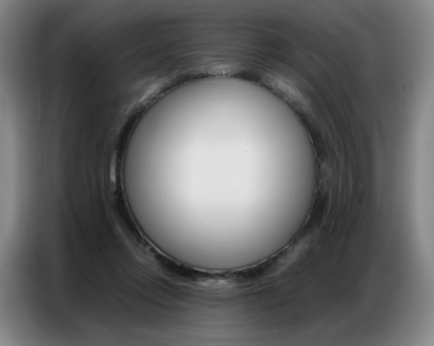 X0000087360358200704200830