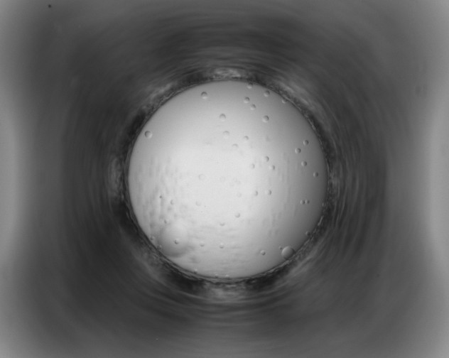 X0000087360359200704200830