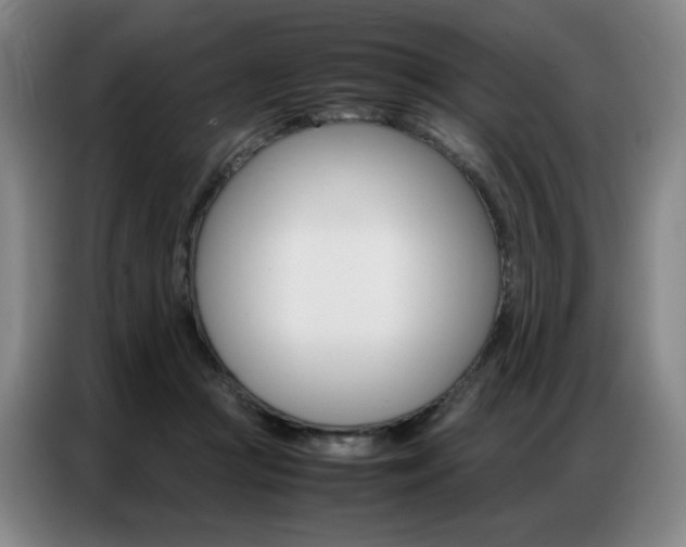 X0000087360361200704200830