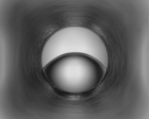 X0000087360362200704200830