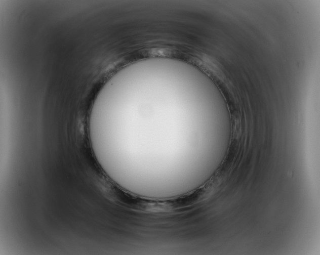 X0000087360363200704200831