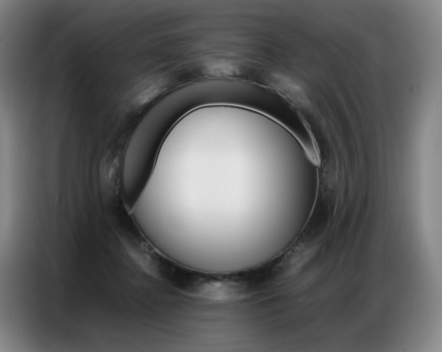 X0000087360364200704200831