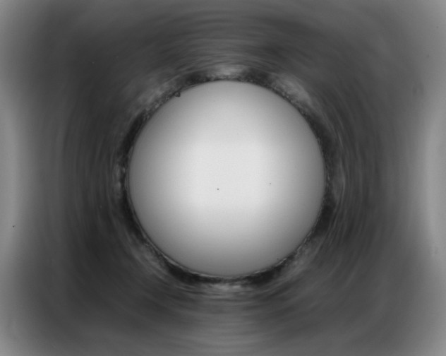 X0000087360366200704200831