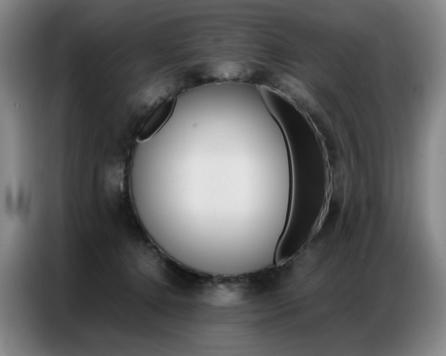 X0000087360368200704200831