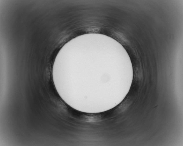 X0000087360370200704200831