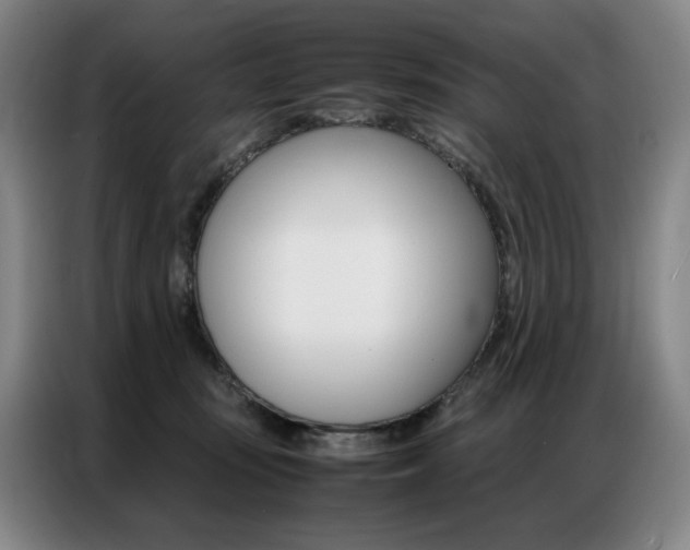 X0000087360371200704200831