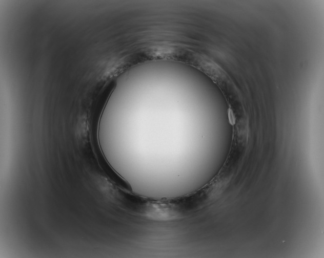 X0000087360372200704200831