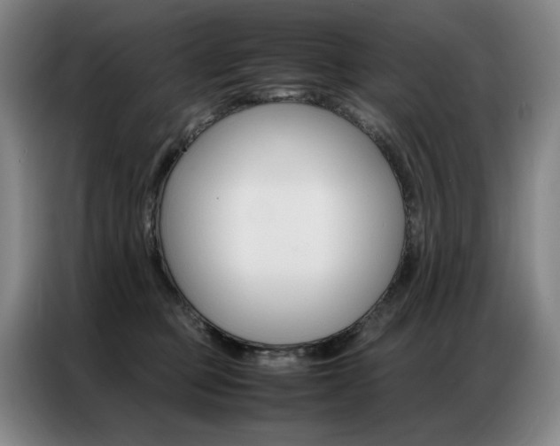 X0000087360373200704200831
