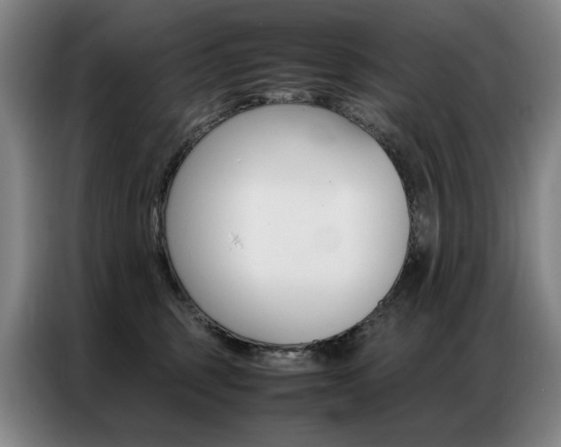 X0000087360375200704200831