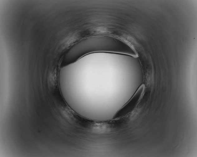 X0000087360376200704200831
