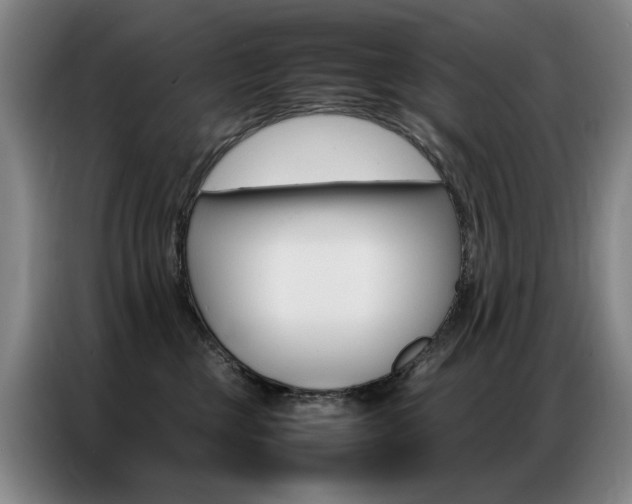 X0000087360377200704200831