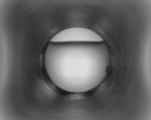 X0000087360378200704200831