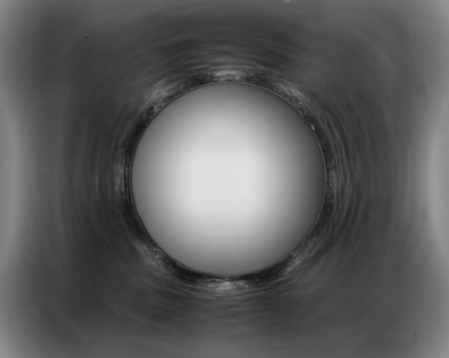 X0000087360379200704200831