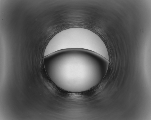 X0000087360380200704200831