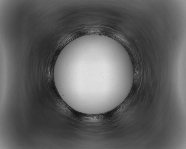 X0000087360381200704200831