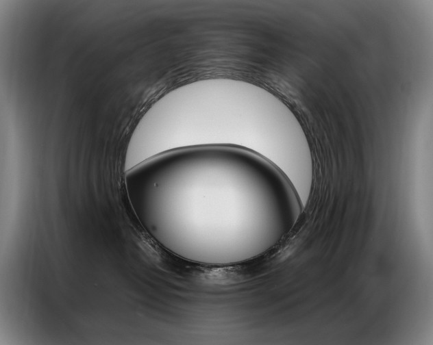 X0000087360382200704200831