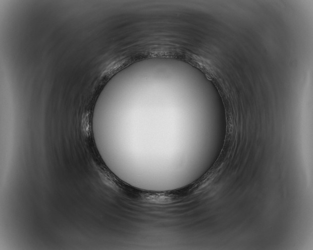 X0000087360383200704200831