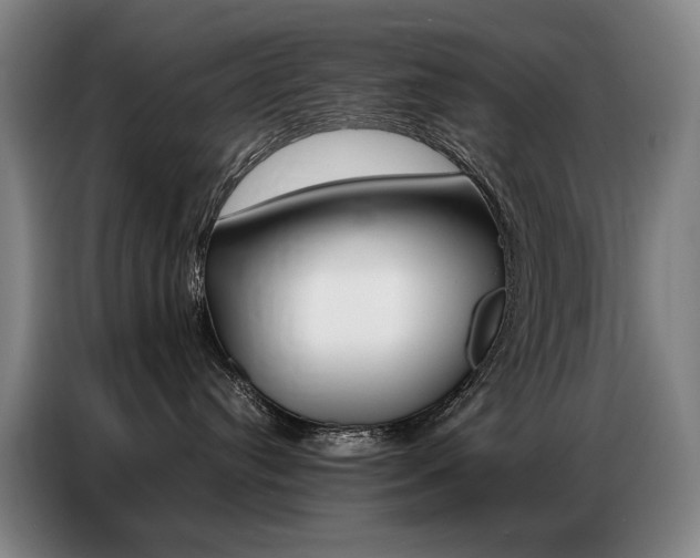 X0000087360384200704200831