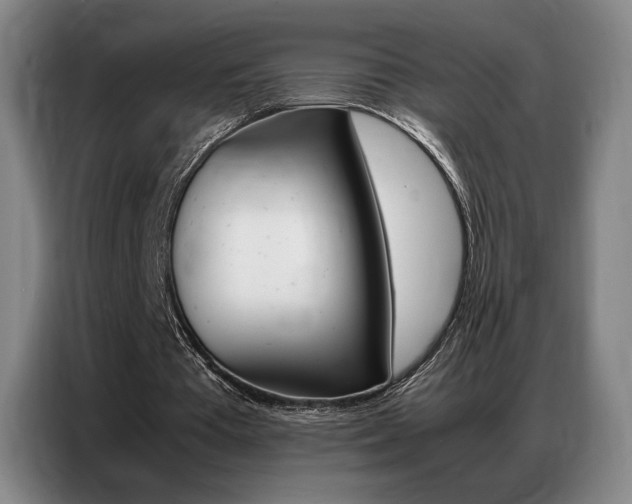 X0000087360385200704200830