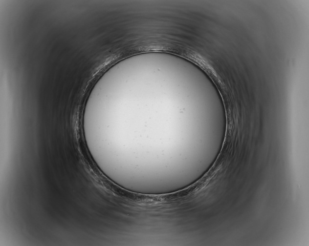 X0000087360386200704200830