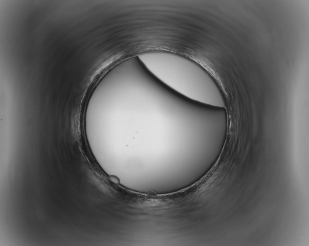 X0000087360390200704200830