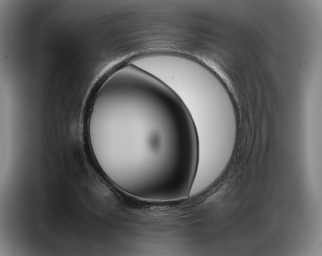 X0000087360391200704200830