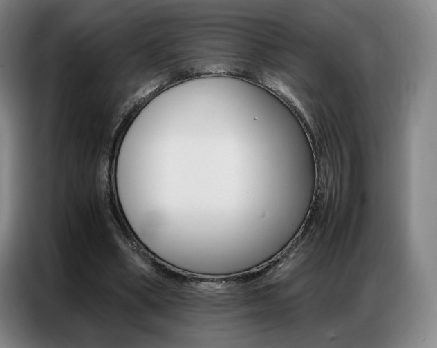 X0000087360394200704200830