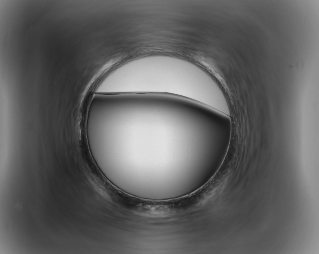 X0000087360395200704200830