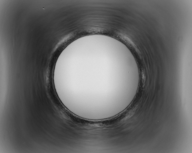 X0000087360396200704200830